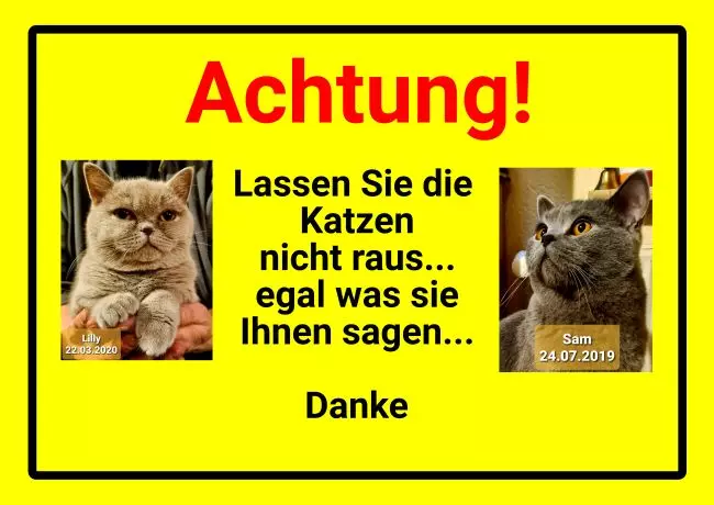 Warnschild Zutritt verboten Warnung - Zutritt verboten Katzen Bild