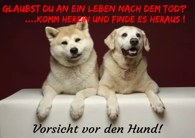 Warnschild Zutritt verboten Warnung - Zutritt verboten ... komm herein Bild
