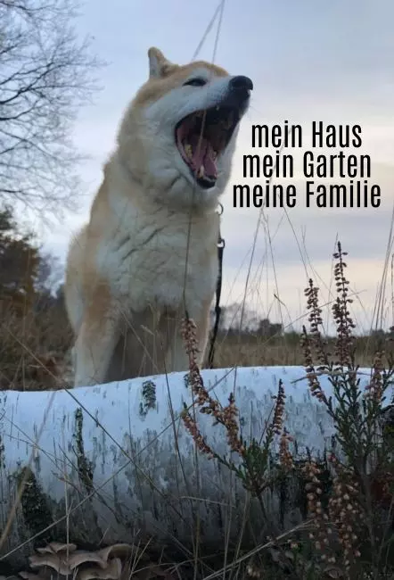 Warnschild Zutritt verboten Warnung - Zutritt verboten Mein Haus .... Bild
